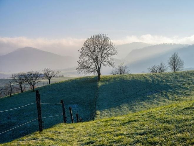 winter-scene-frost-field