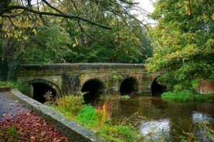 A bridge over a river in autumn, surrounded by trees. Image from Pexels by Mike Bird.