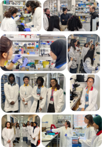 A compilation of images of people together wearing white lab coats in lab settings. Image from Leigh Wilson.