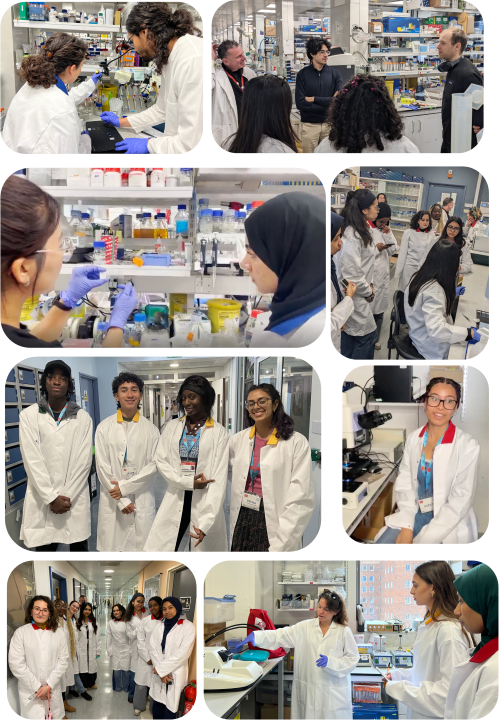 A compilation of images of people together wearing white lab coats in lab settings. Image from Leigh Wilson.
